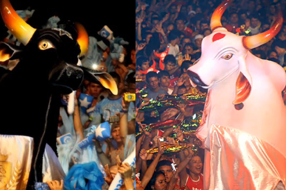 Como Chegar em Parintins: Opções de Transporte para o Festival