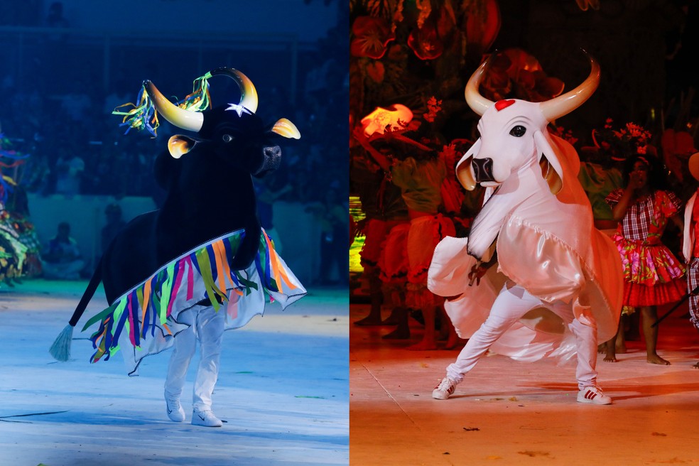 Como Chegar em Parintins: Opções de Transporte para o Festival