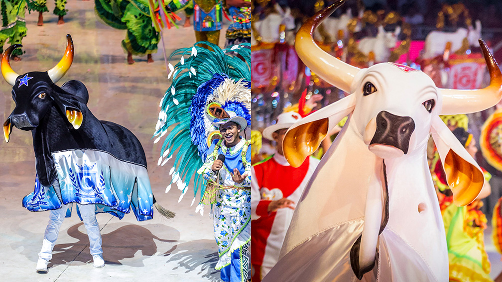 O Que Fazer em Parintins Além do Festival: Roteiro Turístico