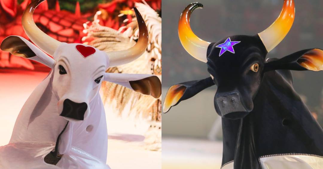 festival folclorico de parintins garantido caprichoso