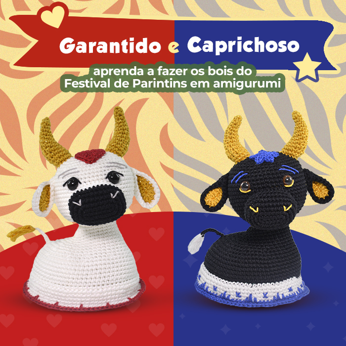 Como Chegar em Parintins: Opções de Transporte para o Festival