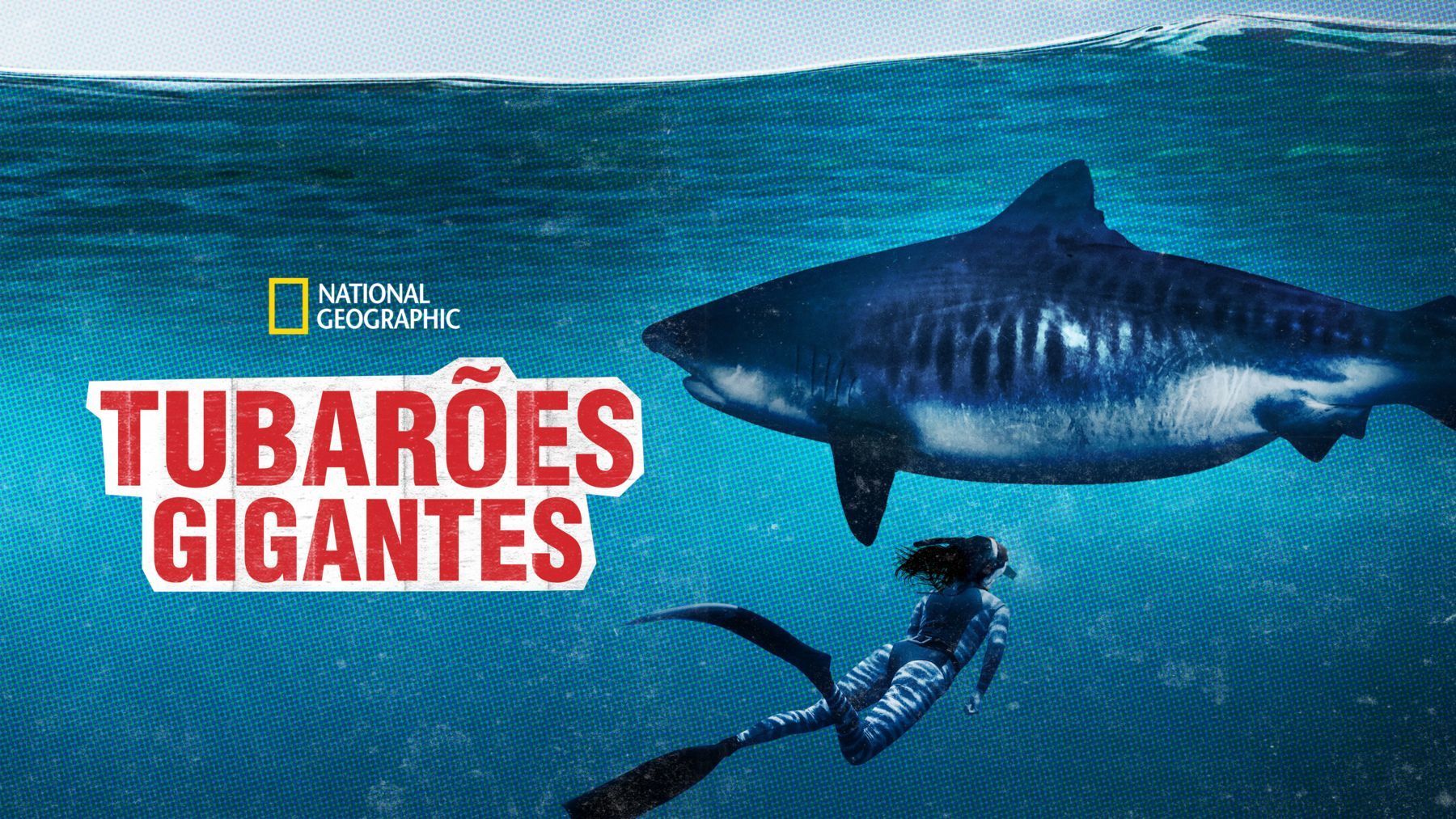 Filmes de Tubarão na Netflix: Guia Completo