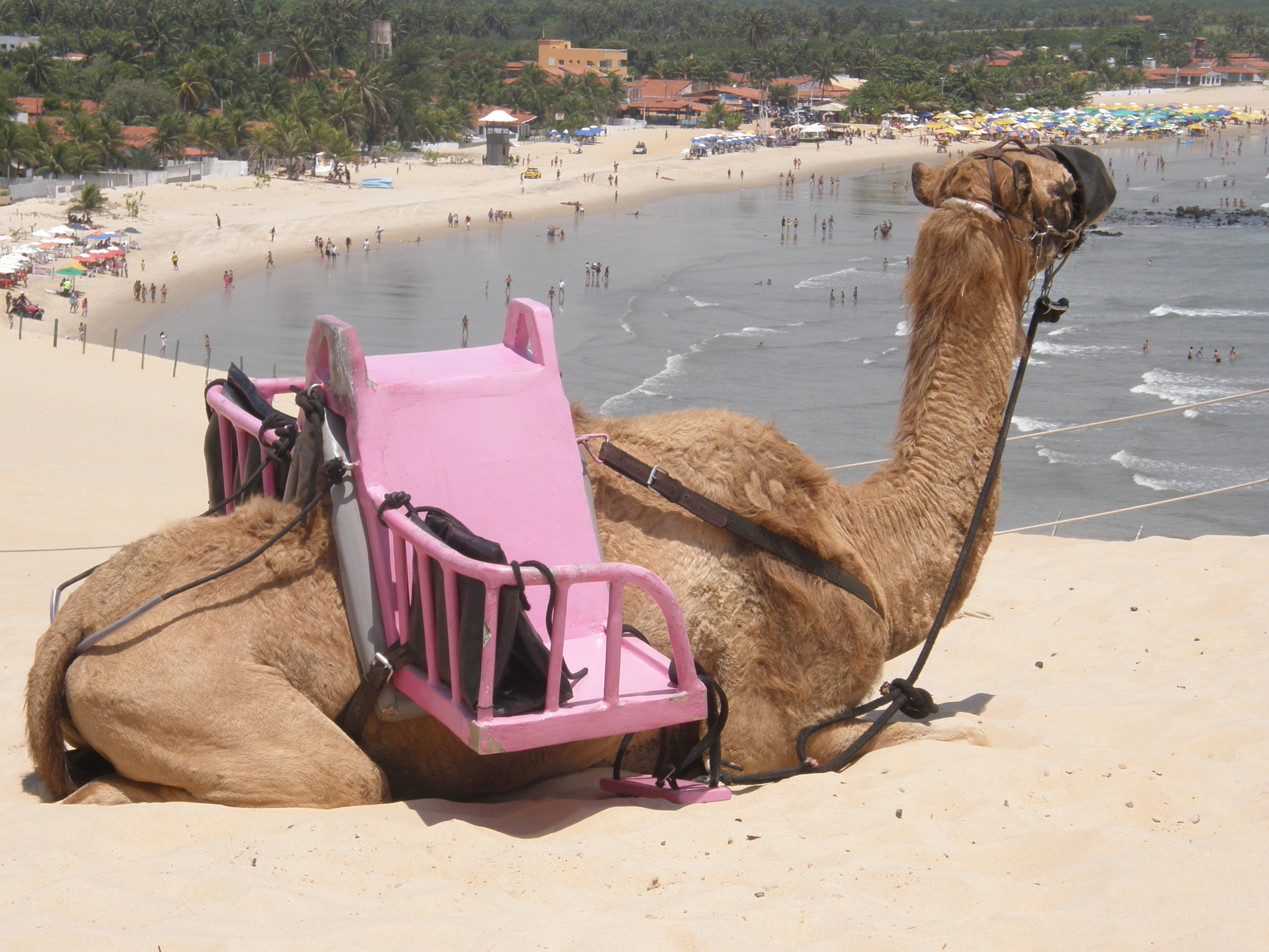 Ensaios Fotográficos em Genipabu: Dicas para Casais e 15 Anos