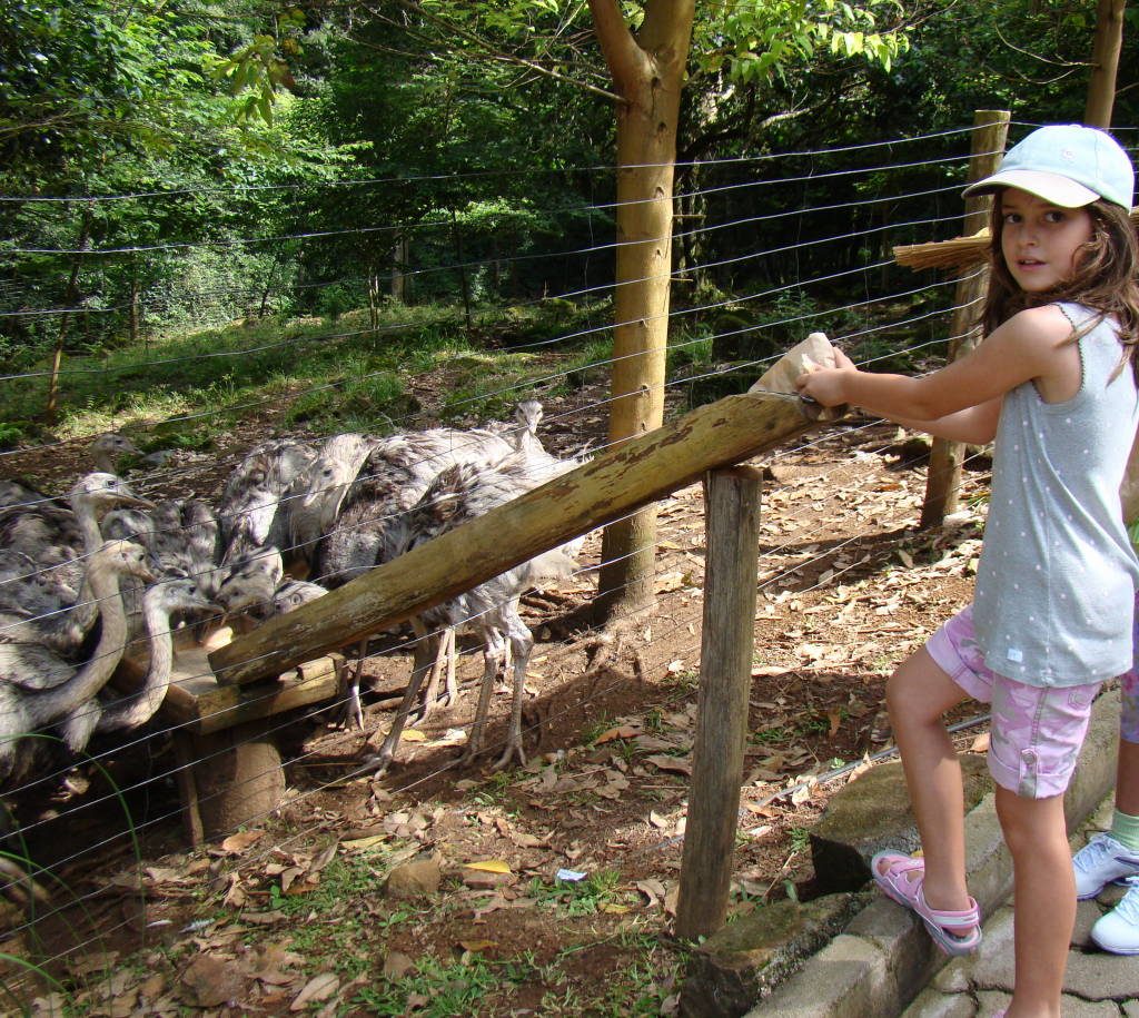 gramado zoo vale a pena