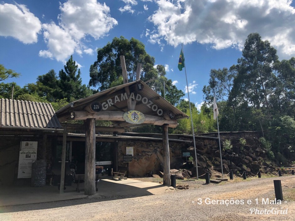 erros comuns ao visitar o gramado zoo