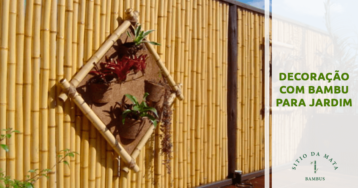 Durabilidade do Bambu: Dicas Essenciais de Tratamento e Conservação