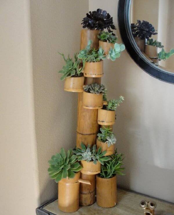 Guia Completo: Como Cuidar do Bambu da Sorte para Atrair Prosperidade