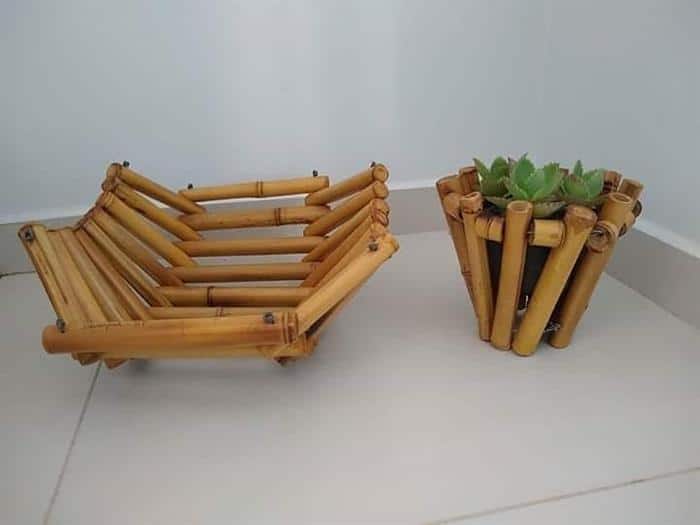 Durabilidade do Bambu: Dicas Essenciais de Tratamento e Conservação