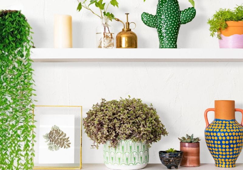 Como Criar um Jardim Vertical Artificial Deslumbrante em Casa