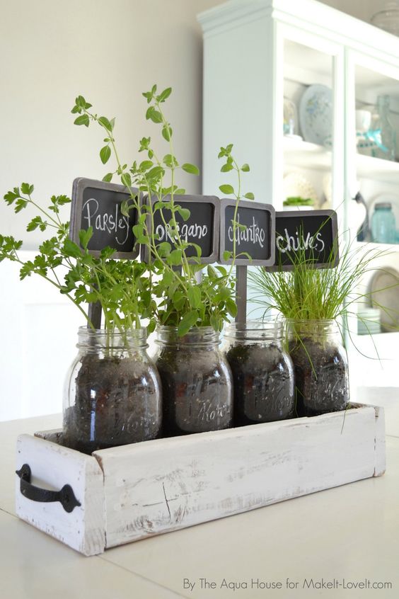 Mini Terrários: Como Montar Seu Próprio Ecossistema em um Pote