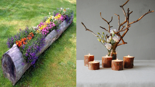 Guia Completo: Como Tratar e Preparar Troncos de Árvore para Decoração Interna