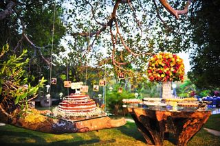 Madeiras Nobres: Qual a Melhor para Utensílios de Cozinha e Móveis Rústicos?