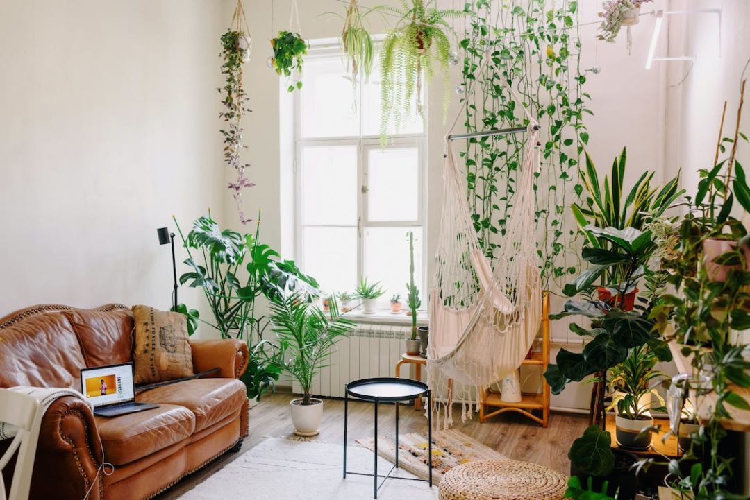 decoração boho vs decoração escandinava