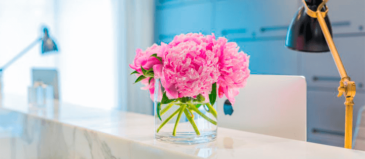 ideias de decoração para consultório