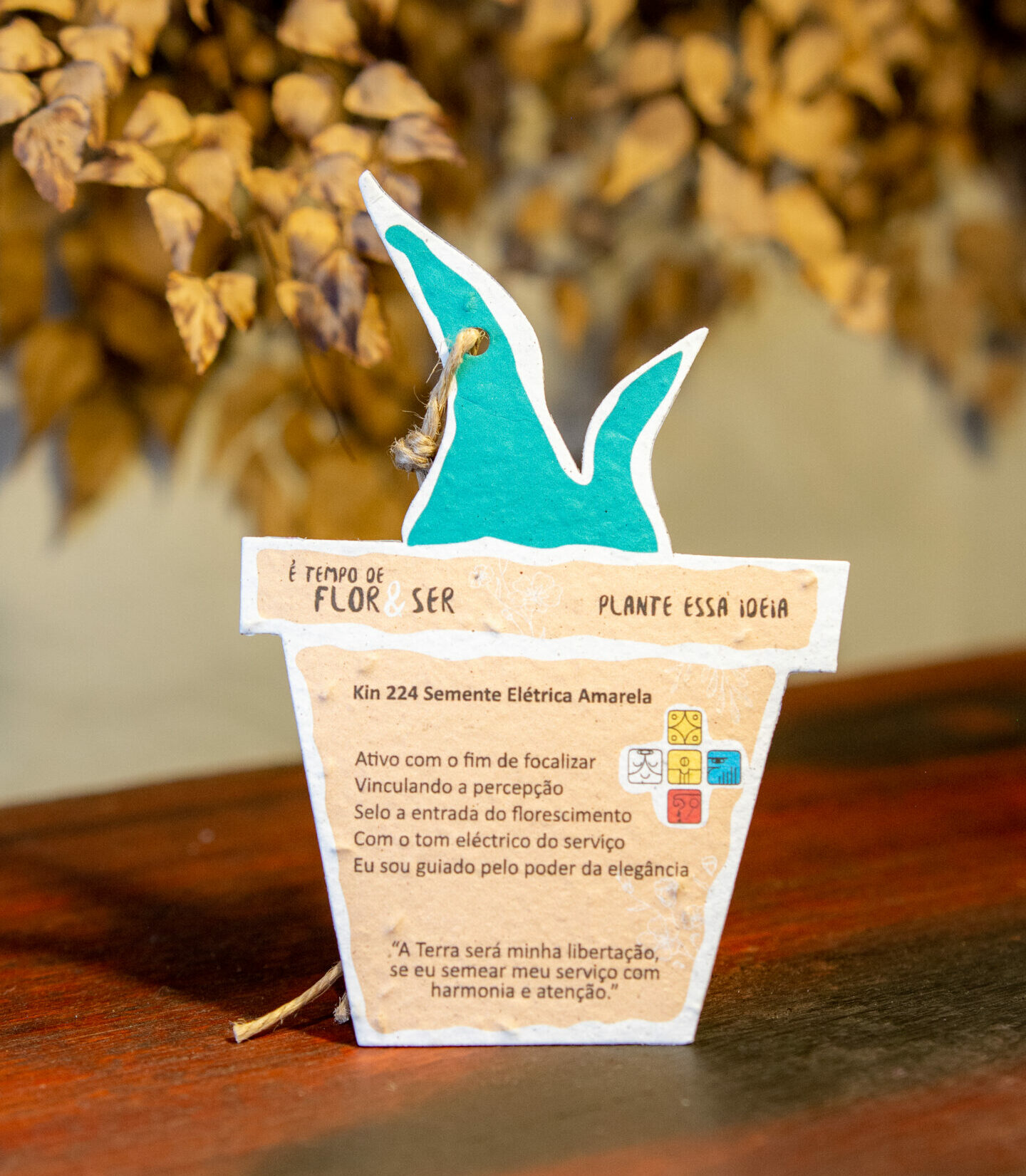 ideias de presentes sustentáveis e artesanais