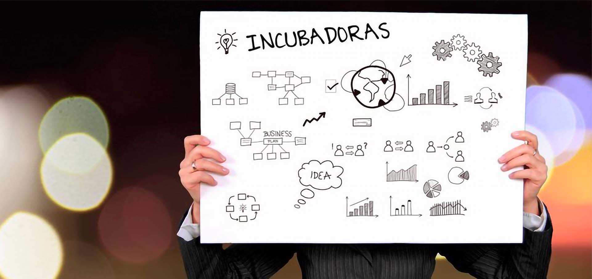 Guia Completo: Como Escolher a Incubadora Certa para Sua Startup