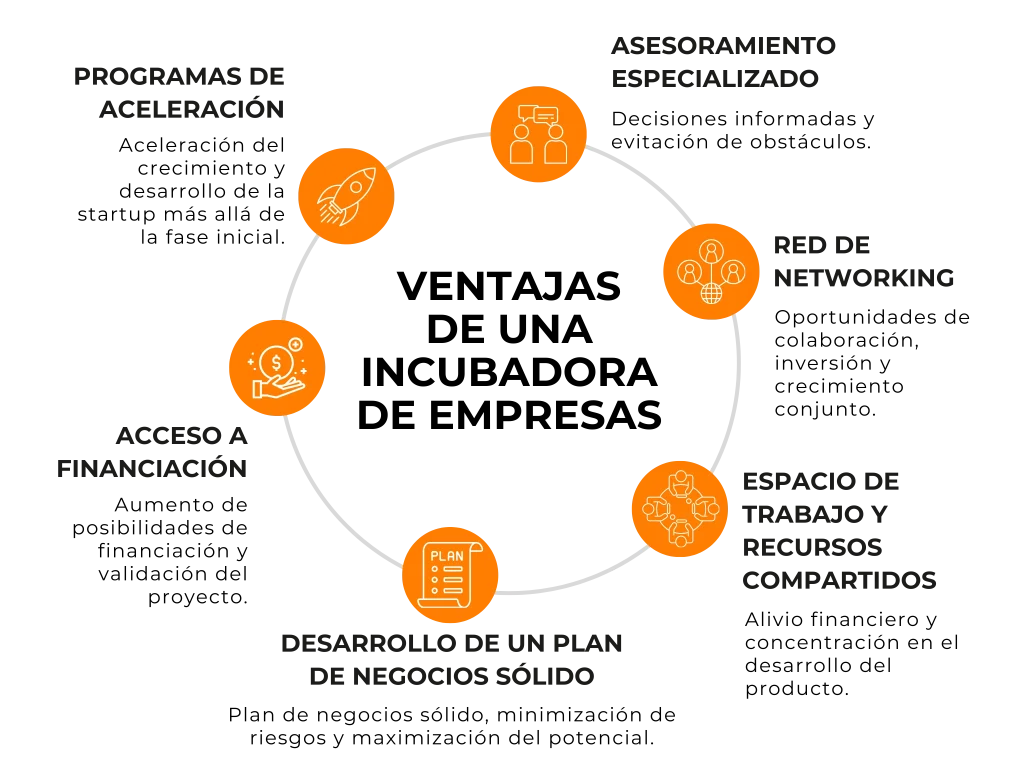 Casos de Sucesso: Empresas que Floresceram em Incubadoras Brasileiras