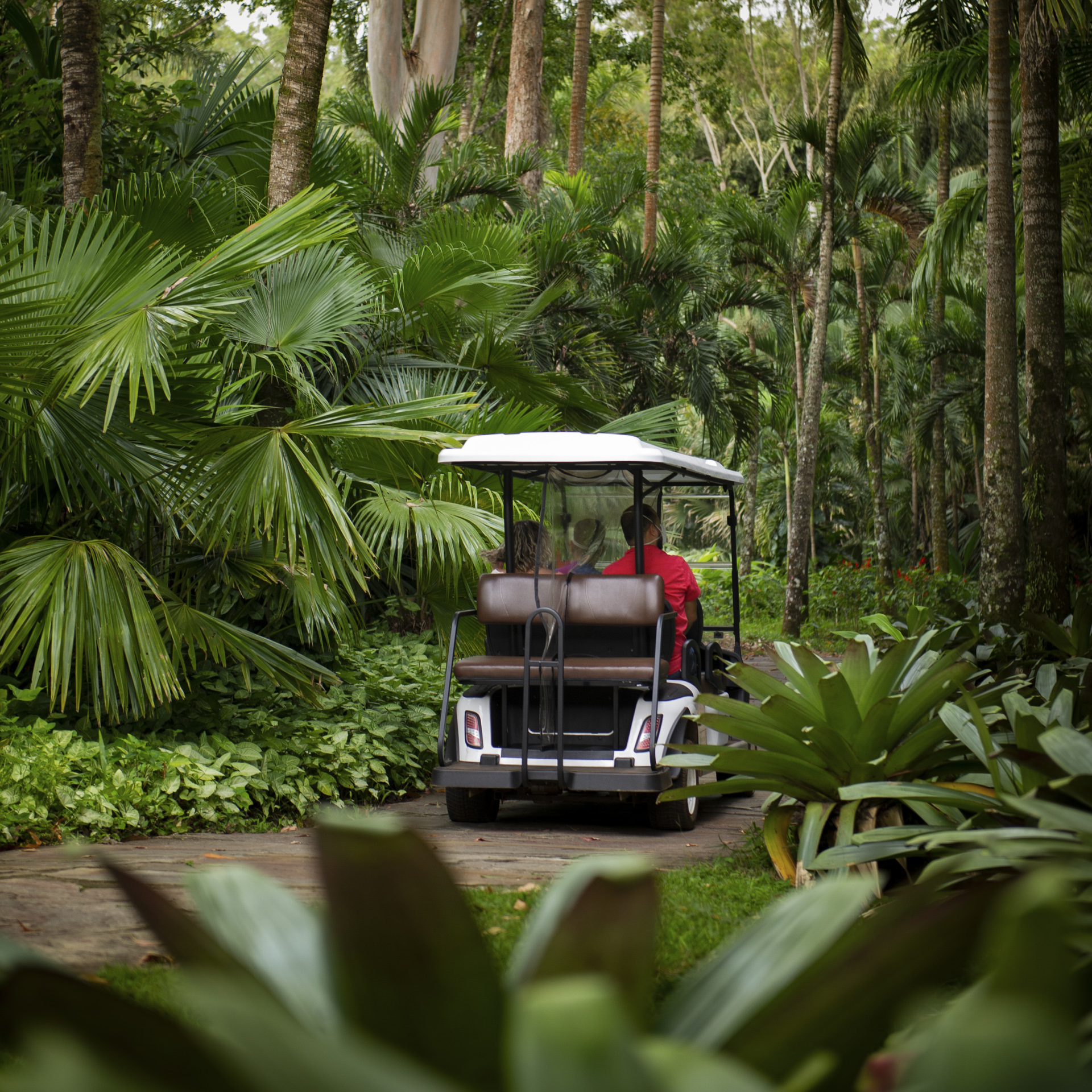 ingresso inhotim valor e transporte