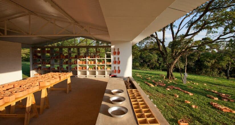 erros comuns ao planejar visita inhotim