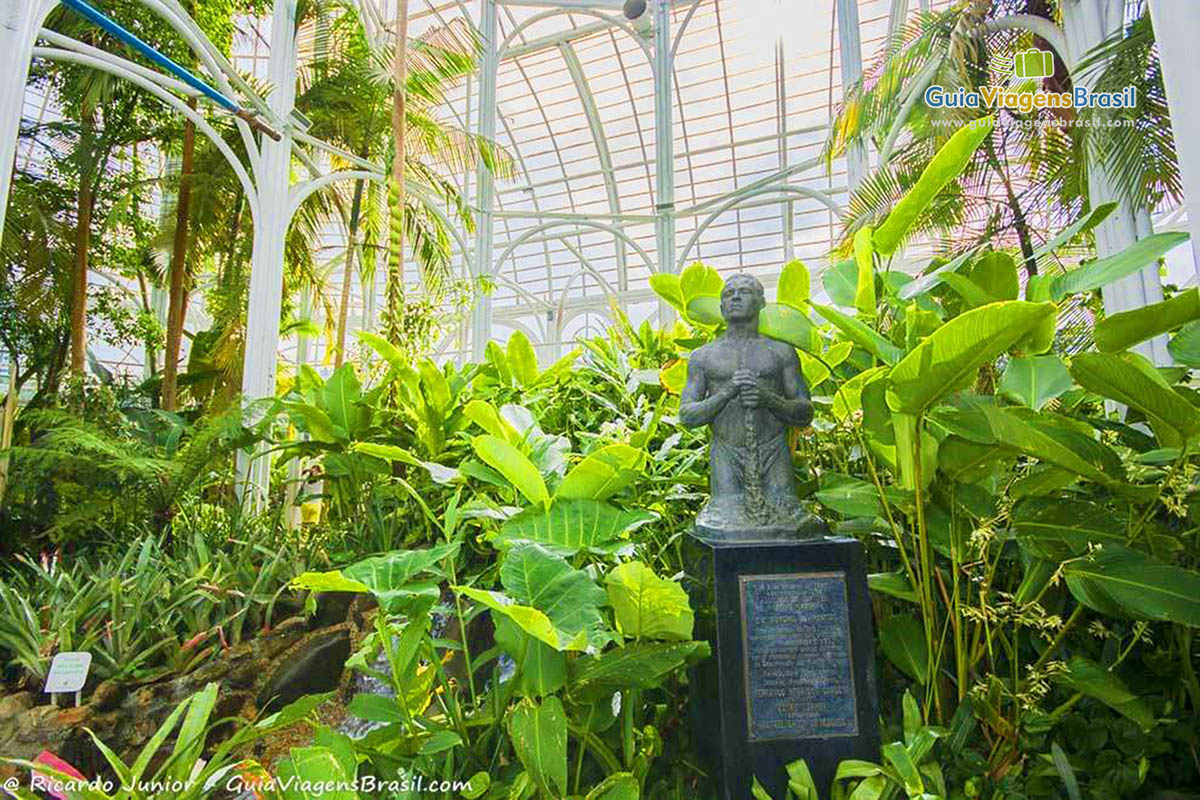 5 ideias de títulos:
1. Guia Completo: Visite a Estufa do Jardim Botânico de Curitiba
2. Jardim Botânico de Curitiba: História