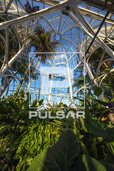 Arquitetura e Dicas de Visitação
3. O Que Encontrar na Estufa do Jardim Botânico de Curitiba: Flora e Cenário
4. Regras e Curiosidades: Tudo Sobre a Visita à Estufa do Jardim Botânico
5. Como Chegar e Aproveitar ao Máximo a Estufa do Jardim Botânico de Curitiba