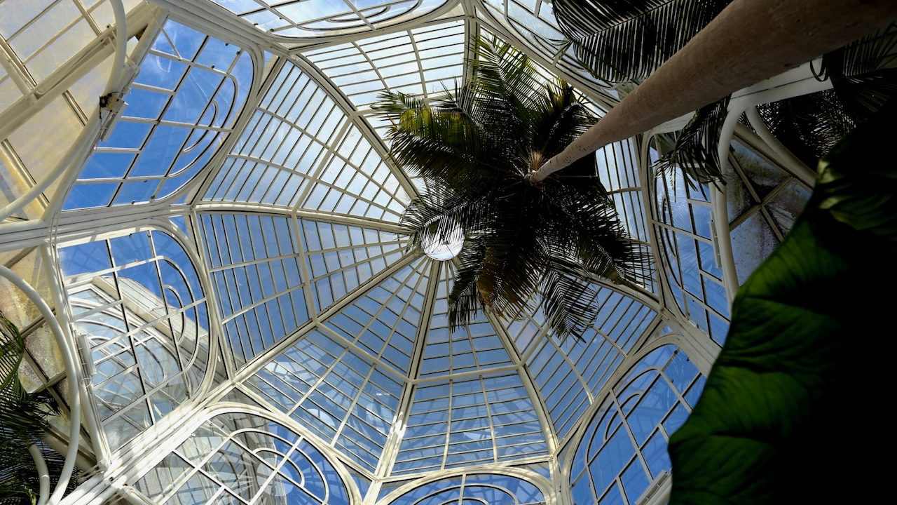 Arquitetura e Dicas de Visitação
3. O Que Encontrar na Estufa do Jardim Botânico de Curitiba: Flora e Cenário
4. Regras e Curiosidades: Tudo Sobre a Visita à Estufa do Jardim Botânico
5. Como Chegar e Aproveitar ao Máximo a Estufa do Jardim Botânico de Curitiba