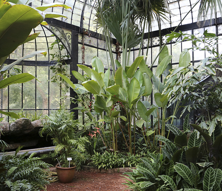 jardim botanico curitiba estufa