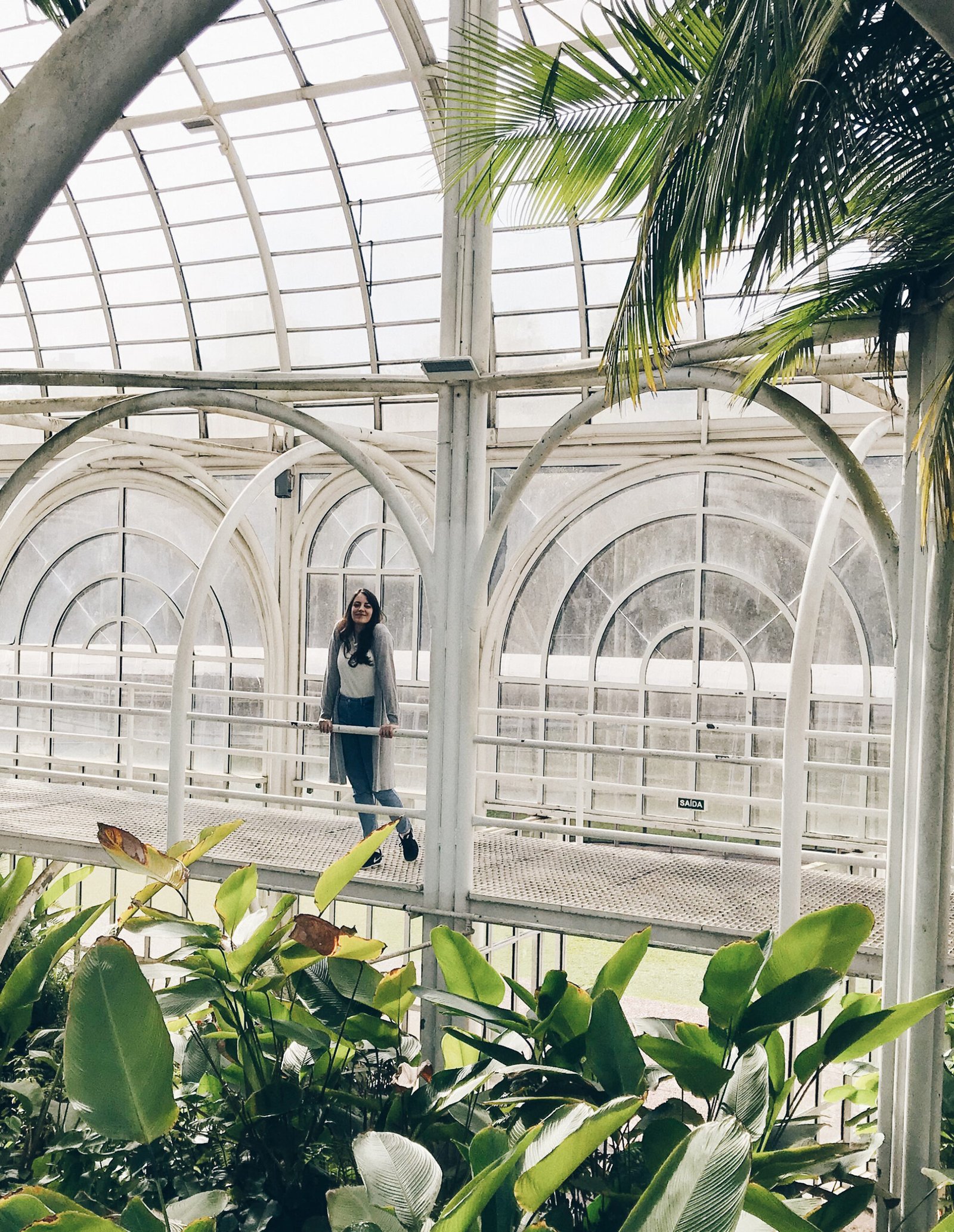 Arquitetura e Dicas de Visitação
3. O Que Encontrar na Estufa do Jardim Botânico de Curitiba: Flora e Cenário
4. Regras e Curiosidades: Tudo Sobre a Visita à Estufa do Jardim Botânico
5. Como Chegar e Aproveitar ao Máximo a Estufa do Jardim Botânico de Curitiba