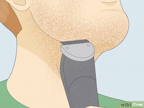 Papa-bolinhas elétrico: vale a pena investir?