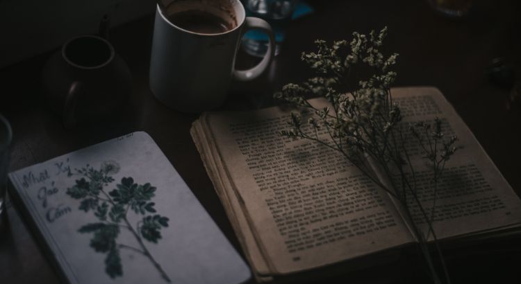 livros dark academia para iniciantes