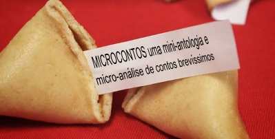 livros de literatura de microcontos