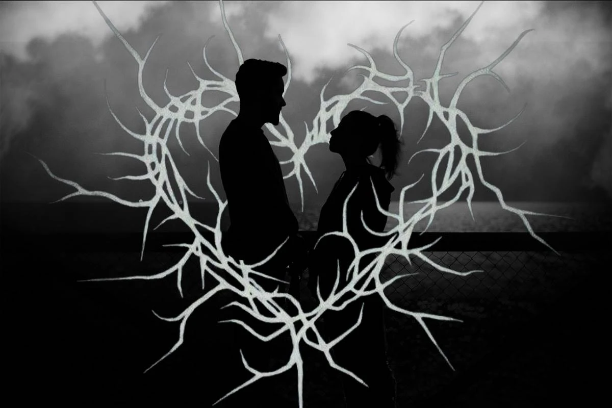 livros de romance dark