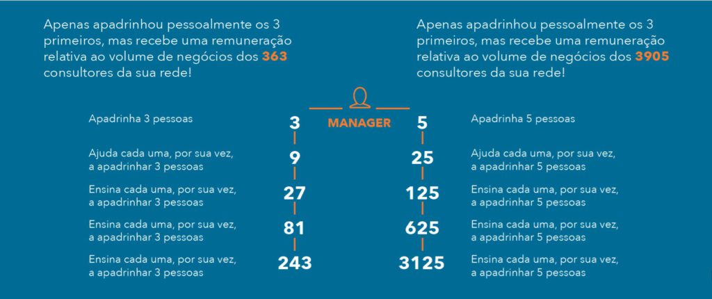 Marketing Multinível no Brasil: Direitos