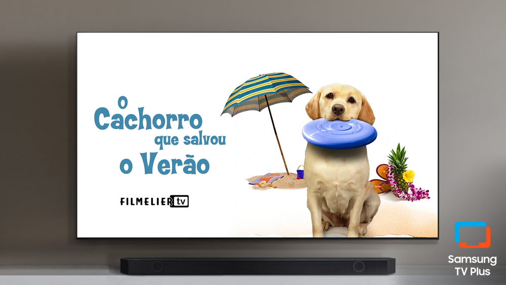 Como escolher o melhor canal de adestramento para seu cão