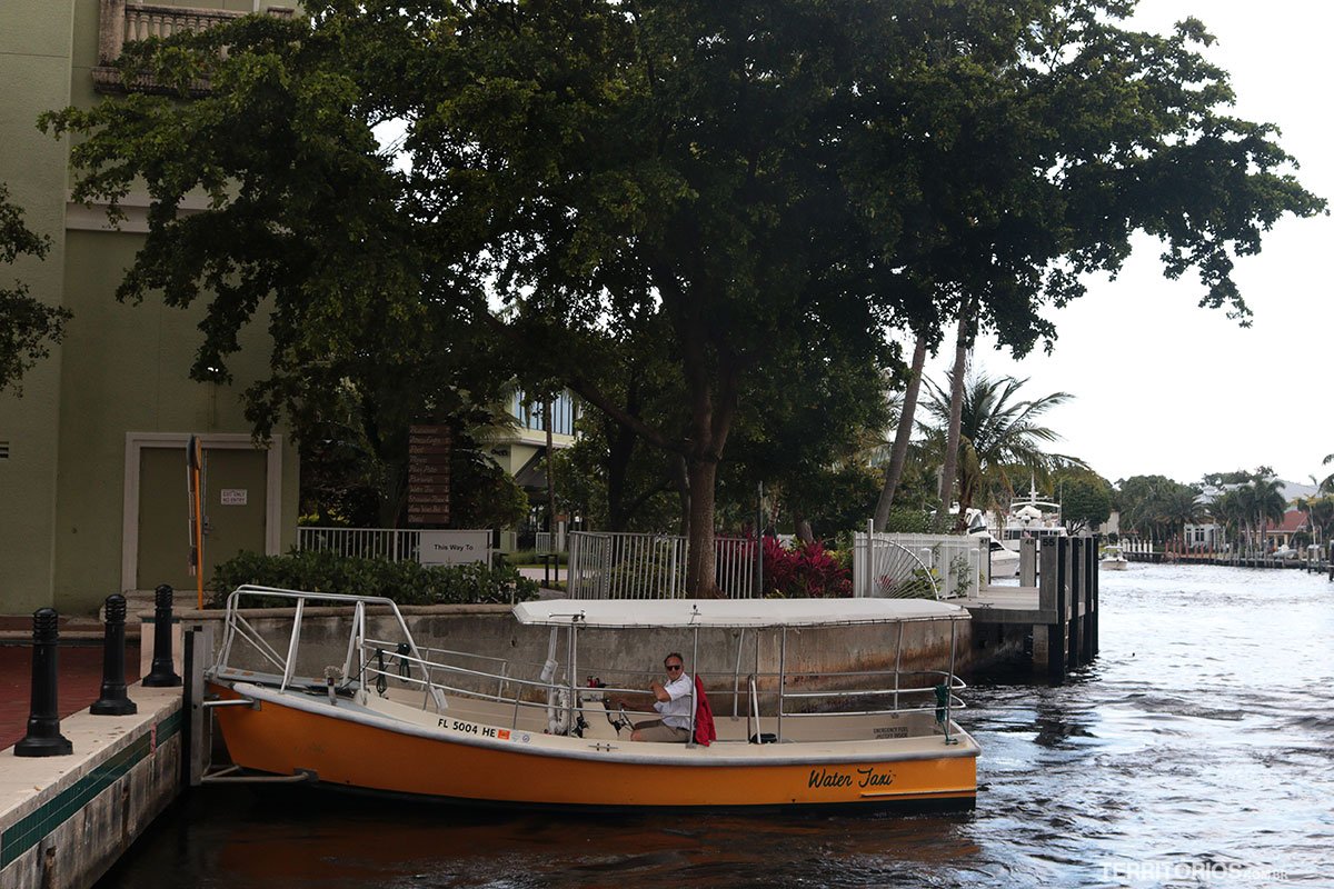 Comparativo de Motores de Popa: Mercury vs Yamaha para Sua Lancha