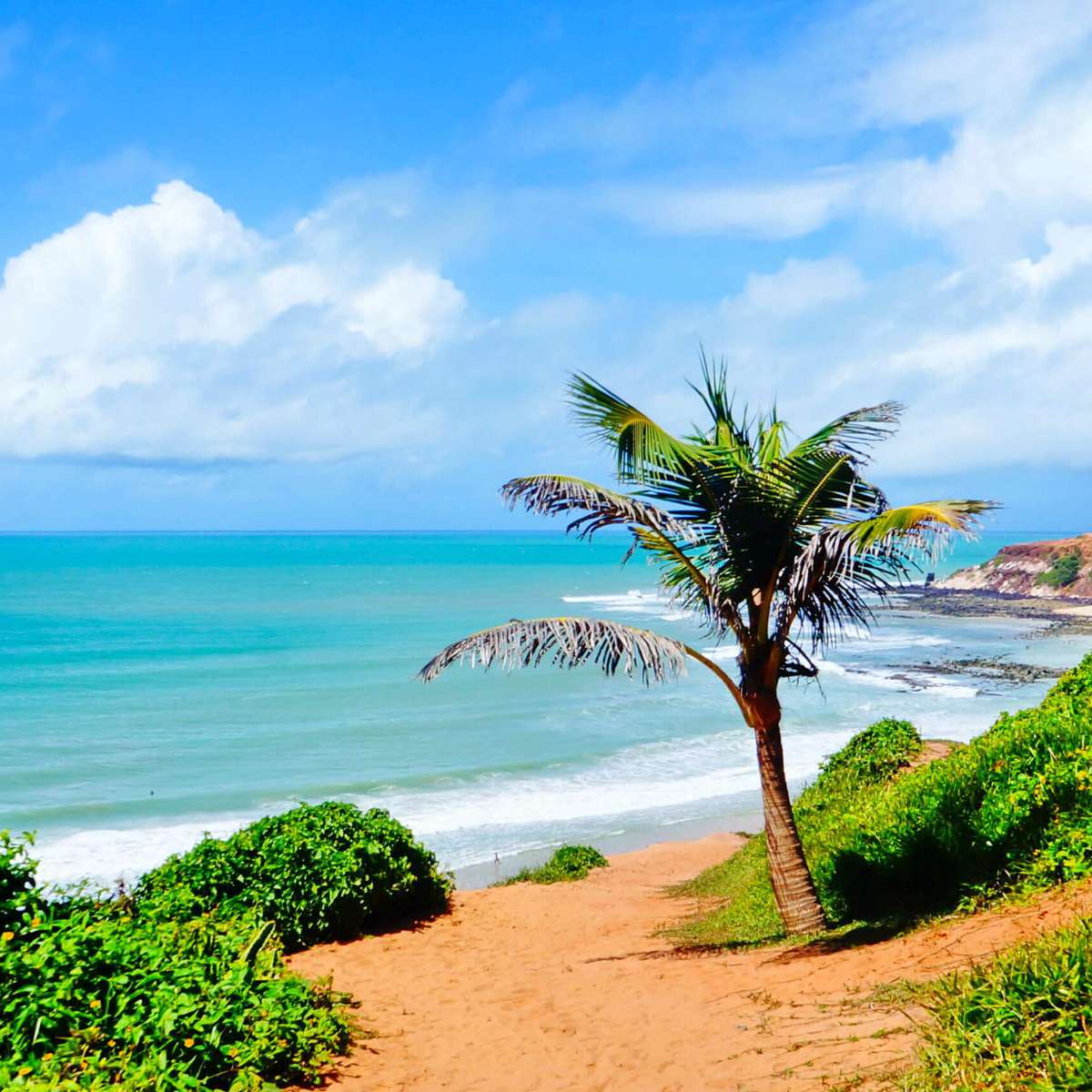 roteiro 3 dias manaus amazonas