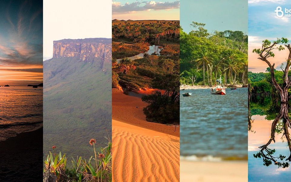 jalapão vs alter do chão qual escolher