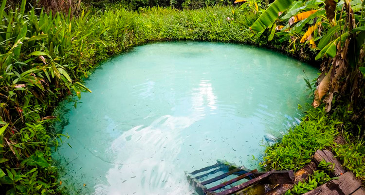 roteiro 3 dias manaus amazonas