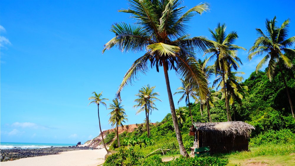 erros comuns ao visitar a amazônia