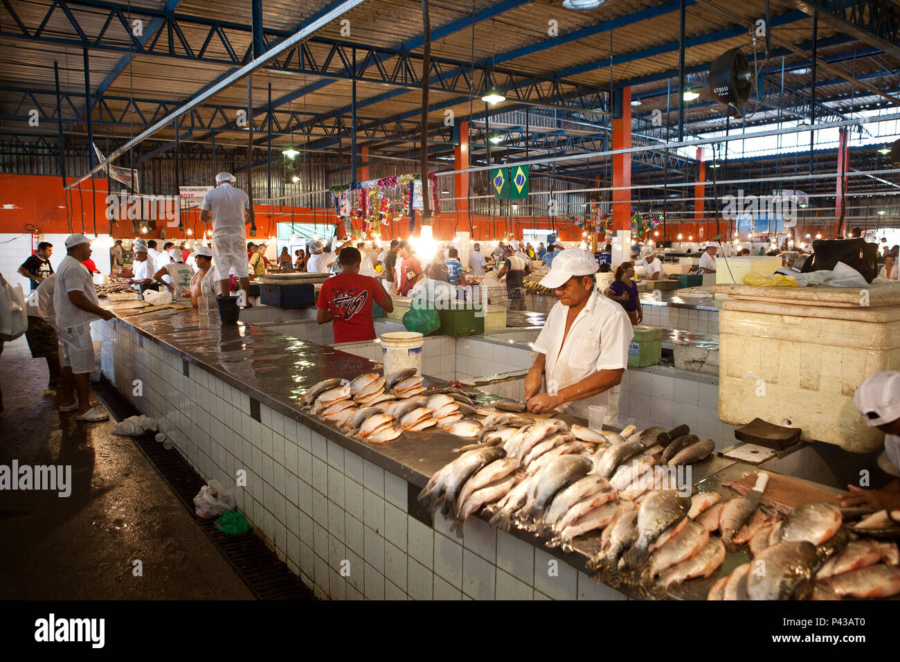 mercado de manaus peixes