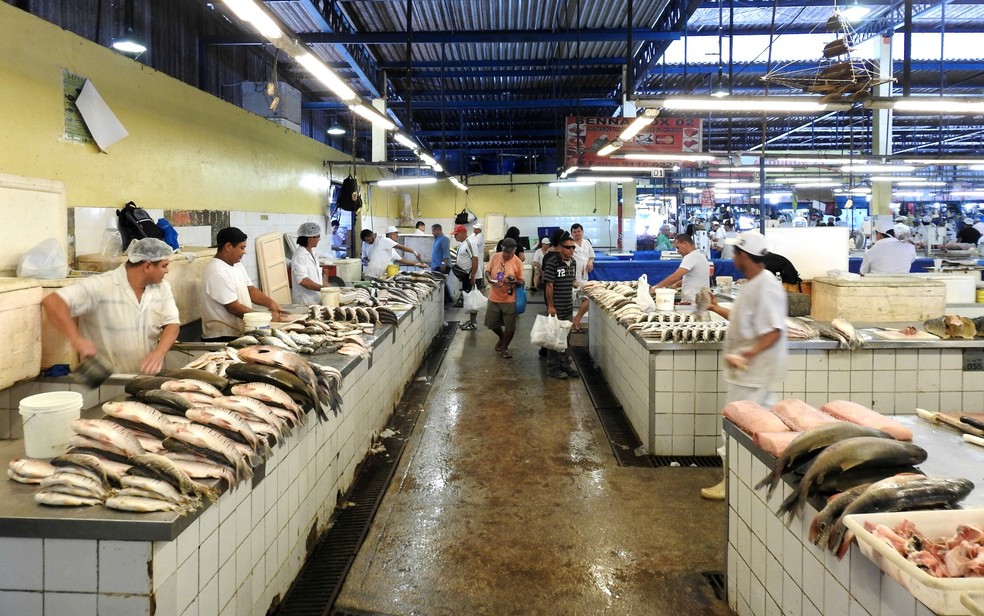 Guia Completo de Peixes da Amazônia: Sabores e Benefícios