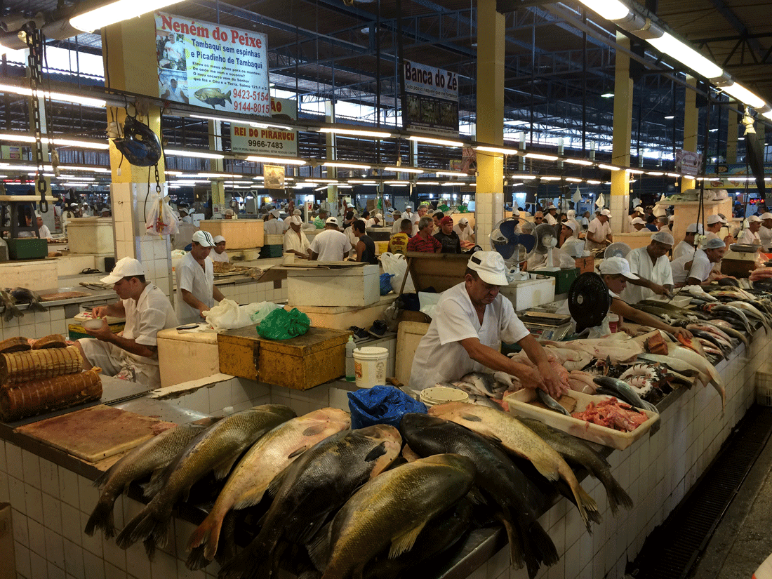 Receitas Tradicionais com Tambaqui e Pirarucu