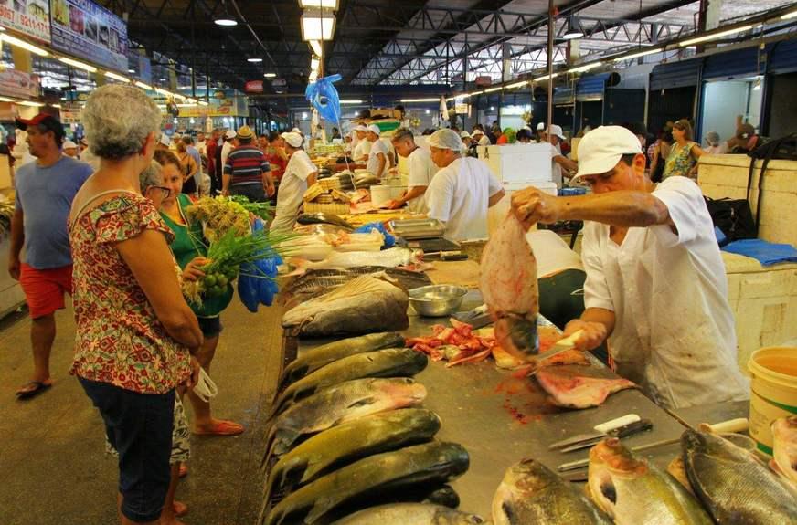 Explorando a Gastronomia do Mercado Municipal Adolpho Lisboa