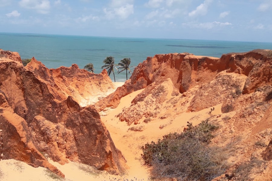 5 ideias de títulos:
1. Guia Completo: Labirinto das Falésias de Morro Branco - O que saber antes de ir.
2. Morro Branco: Descubra as Falésias Coloridas e o Labirinto Natural.
3. Passeio de Buggy em Beberibe: Roteiros Imperdíveis pelas Falésias.
4. Beberibe: Um Paraíso de Cores e Formações Geológicas Únicas.
5. Dicas Essenciais para Visitar o Labirinto das Falésias de Morro Branco.