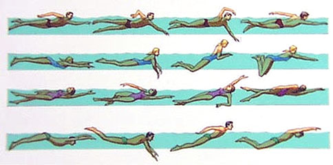 Dominando o Eggbeater e Sculling: Técnicas Essenciais no Nado Artístico