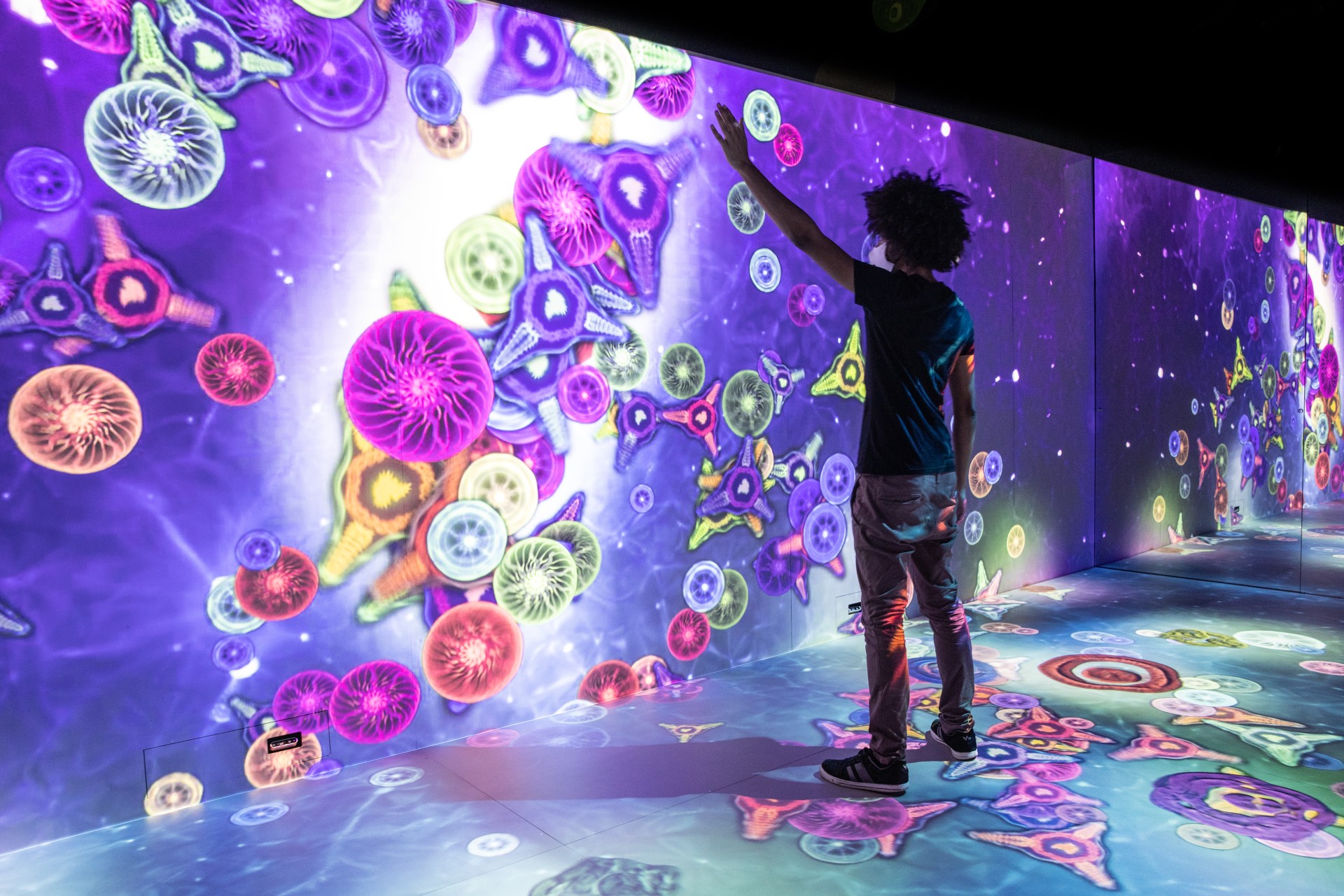 Como Chegar ao Museu do Amanhã: VLT e Outras Opções de Transporte