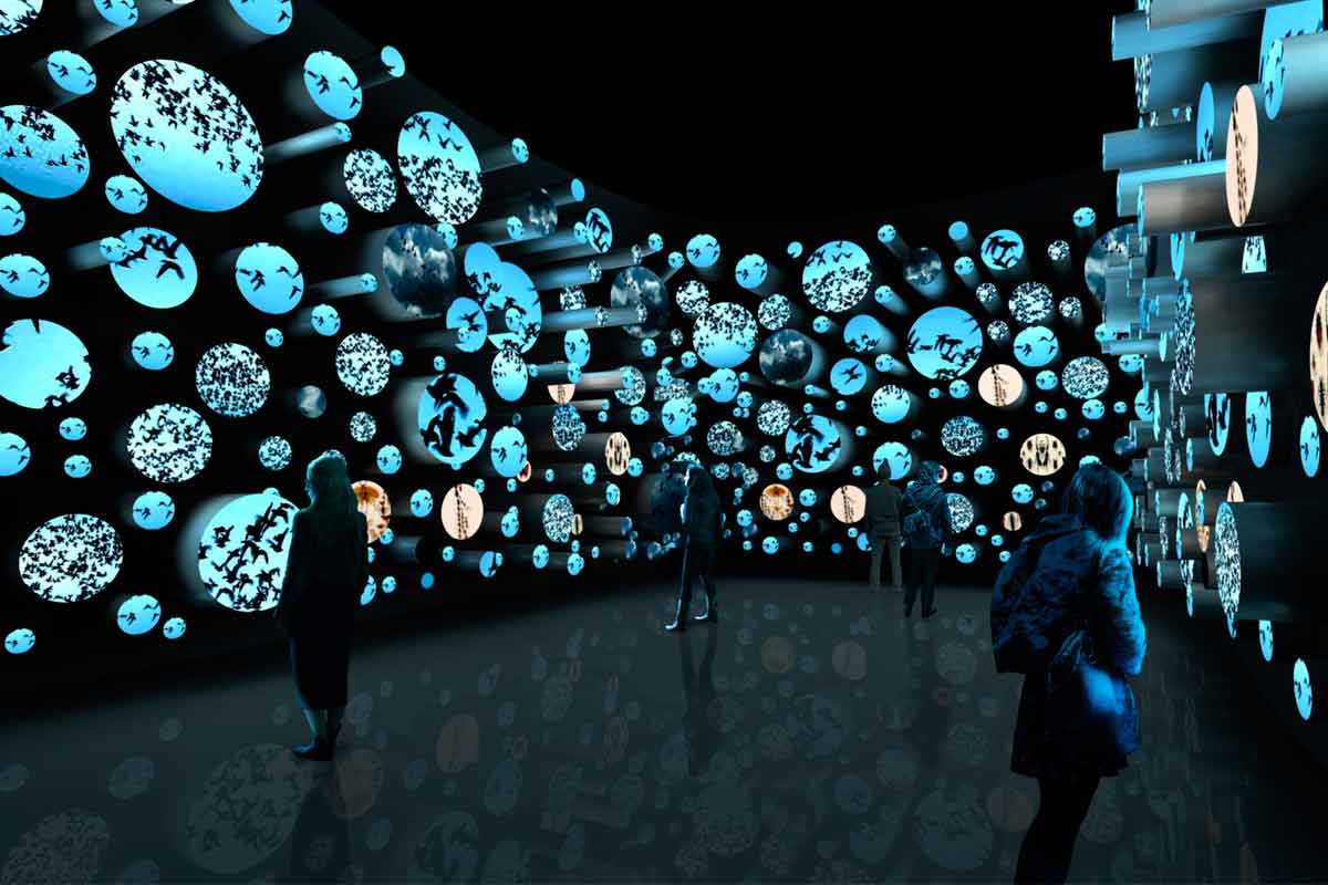 Guia Completo para Visitar o Museu do Amanhã: Ingressos