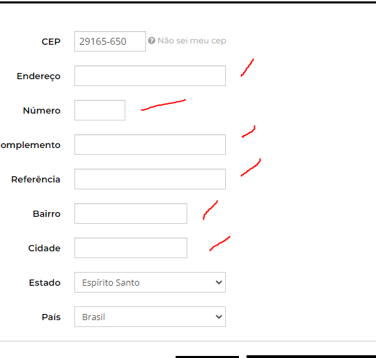 Diferença entre complemento e ponto de referência no endereço