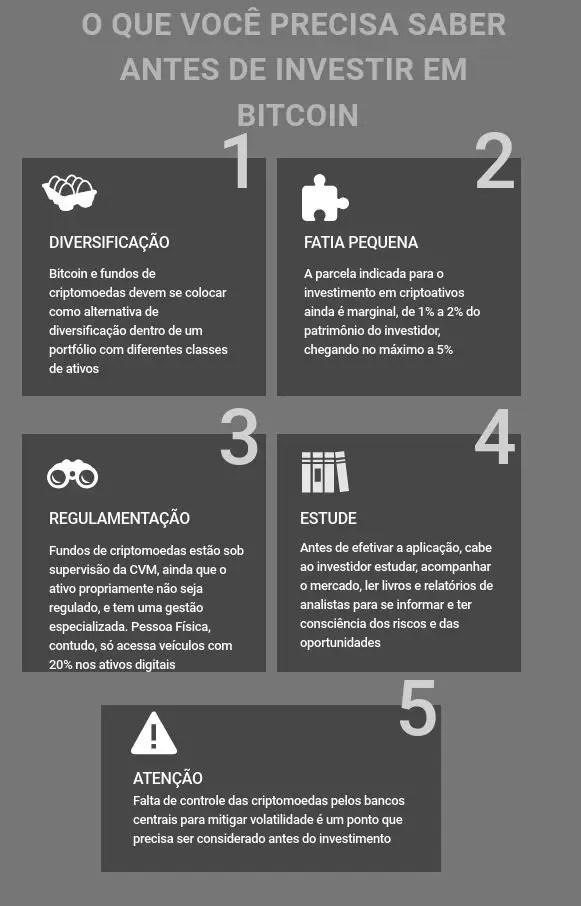 melhores criptomoedas para iniciantes 2026