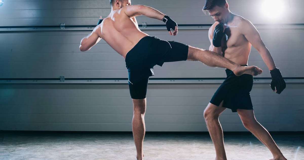 melhores academias de luta livre esportiva no rio de janeiro